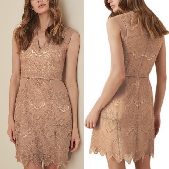 REISS Natural Gemina Lace Fit And Flare Dress New - Picture 3 of 11